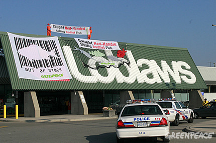 Loblaws: caught red-handed selling unsustainable 'red-list' fish
