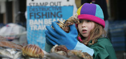 For every plate of beam trawled plaice there are up to 3 plates of wasted sea life