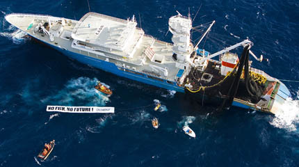 The crew of Esperanza taking action against the world's biggest purse seiner, the  Albatun Tres