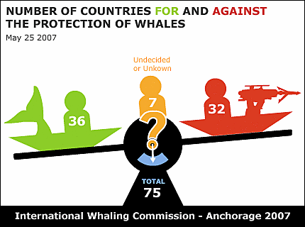 IWC 59: how the voting's going