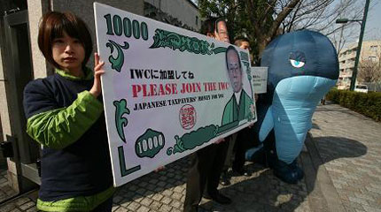 Greenpeace protest at the'Sustainable Use of Whales' meeting in Tokyo, March 2008