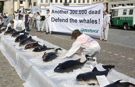 Greenpeace activists display whales and dolphins that have been drowned in nets and killed by ship strike with a banner messages reading 'ANOTHER 300,000 DEAD 