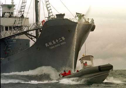 Japanese catcher ship tracked by Greenpeace inflatable