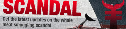 Get the latest updates on the whale meat smuggling scandal