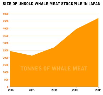 Japan's growing whale meat stockpile