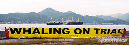 Whaling factory ship Nisshin Maru departs for the Southern Ocean