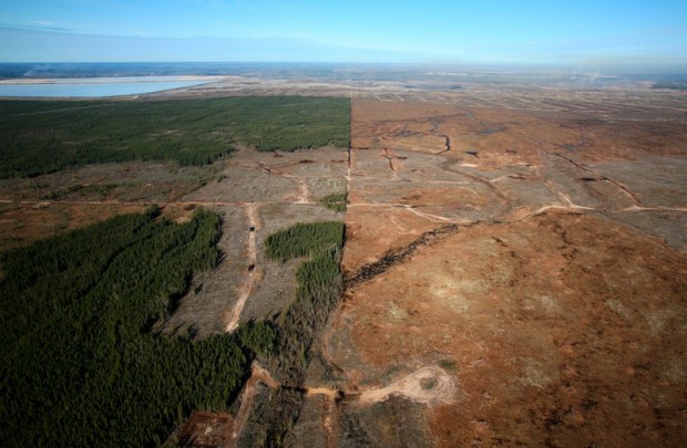 Chopped down Boreal forest near a tar sands mine in Alberta, Canada