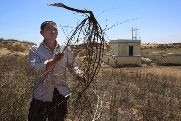 Local farmer Hu Shan