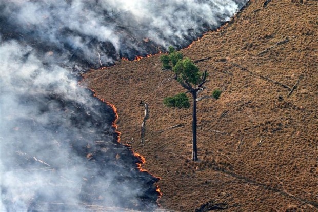 Burning pasture in the Amazon