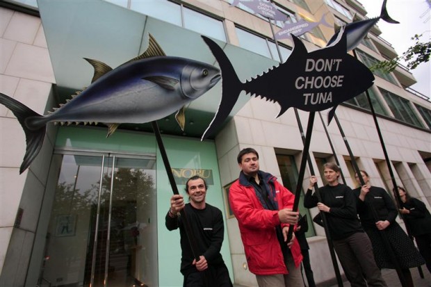 Celebrity-favourite sushi restaurant Nobu serves endangered bluefin tuna