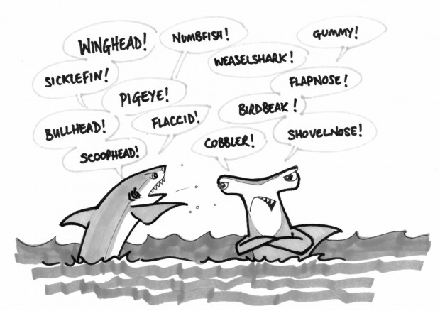 Less scary, more ridiculous - some names we give sharks seem pretty unflattering