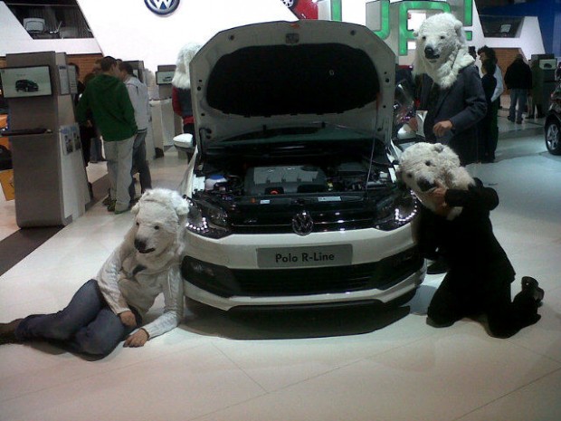 Polars bears lounge around a VW Polo at the Brussels motor show