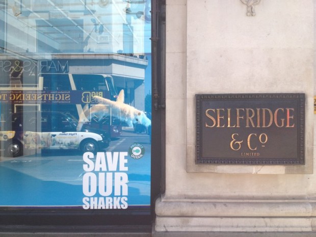 Selfridges Project Ocean save our sharks display