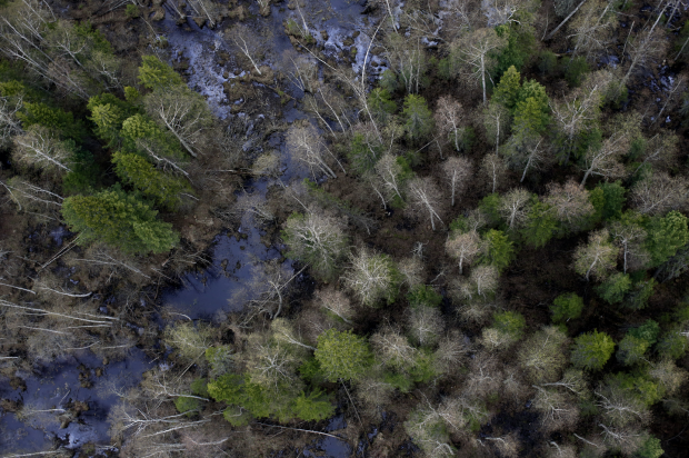 Aerial of an oil spill in a forest near Surgut