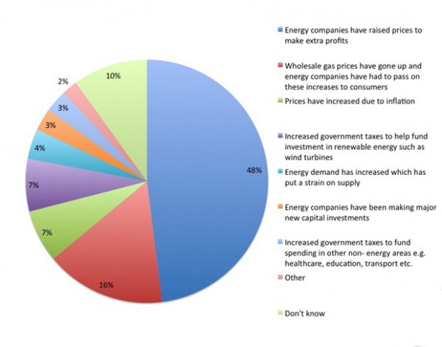 Poll results on reasons for the rise in energy bills