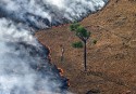 Burning pasture in the Amazon