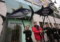 Celebrity-favourite sushi restaurant Nobu serves endangered bluefin tuna