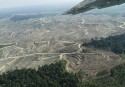 Clearance of forested tiger habitat in Sumatra, Indonesia