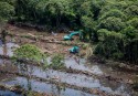 Bulldozers clearing peatland forest in Central Kalimantan, Indonesia