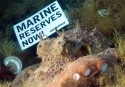 Marine Reserves