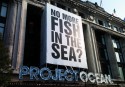 Project Ocean: Selfridges celebrate, fundraise and reach out to save our seas