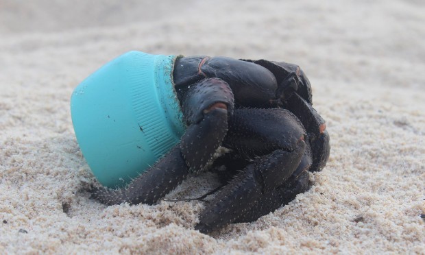 Image for An uninhabited island deep in the South Pacific falls prey to a plague – of plastic.