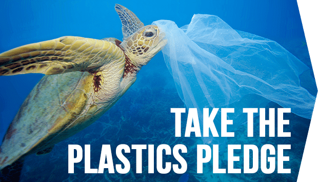 Image for 6 amazing plastic bans from around the world