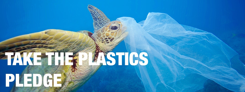 Image for Plastics