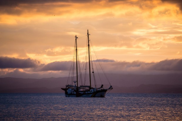 Image for In Pictures: The Beluga Oceans Ship Tour, the Shiant Isles