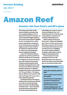 Image for Amazon Reef: Investor risk from Total’s and BP’s plans