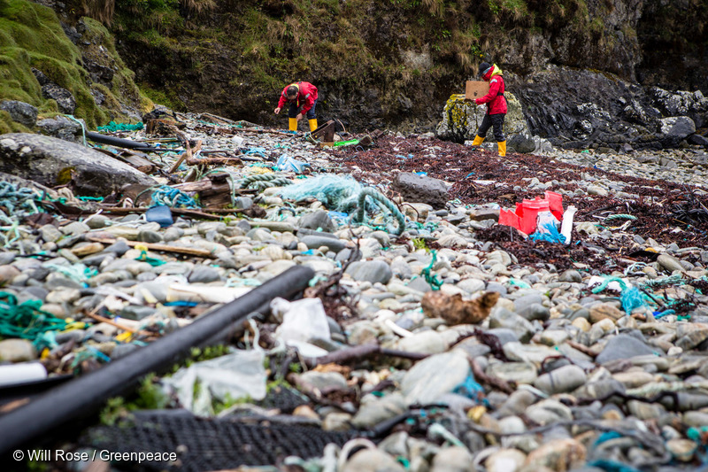 Image for “Plastic pollution is everywhere. It was on every beach we surveyed.”