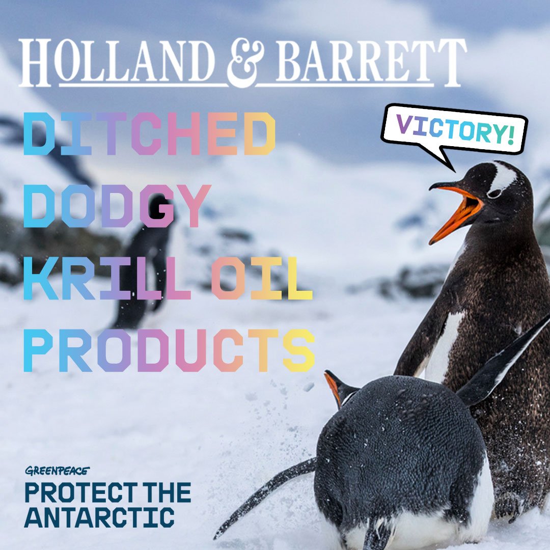 Image for VICTORY! Holland & Barrett ditch krill oil to protect the Antarctic