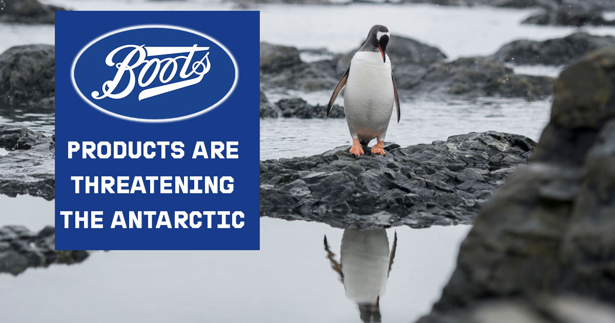 Image for Boots: Give risky krill oil the boot