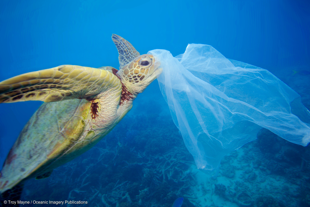 Image for Government Plastic Consultation: Talking Points and Advice.