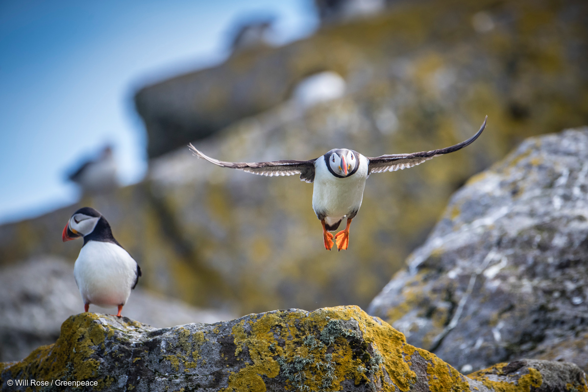 Image for In Pictures: Preserving our environment after Brexit