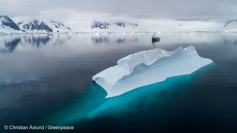 Image for Plastic pollution reaches the Antarctic