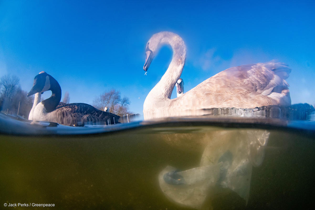 Image for In pictures: plastic in our rivers