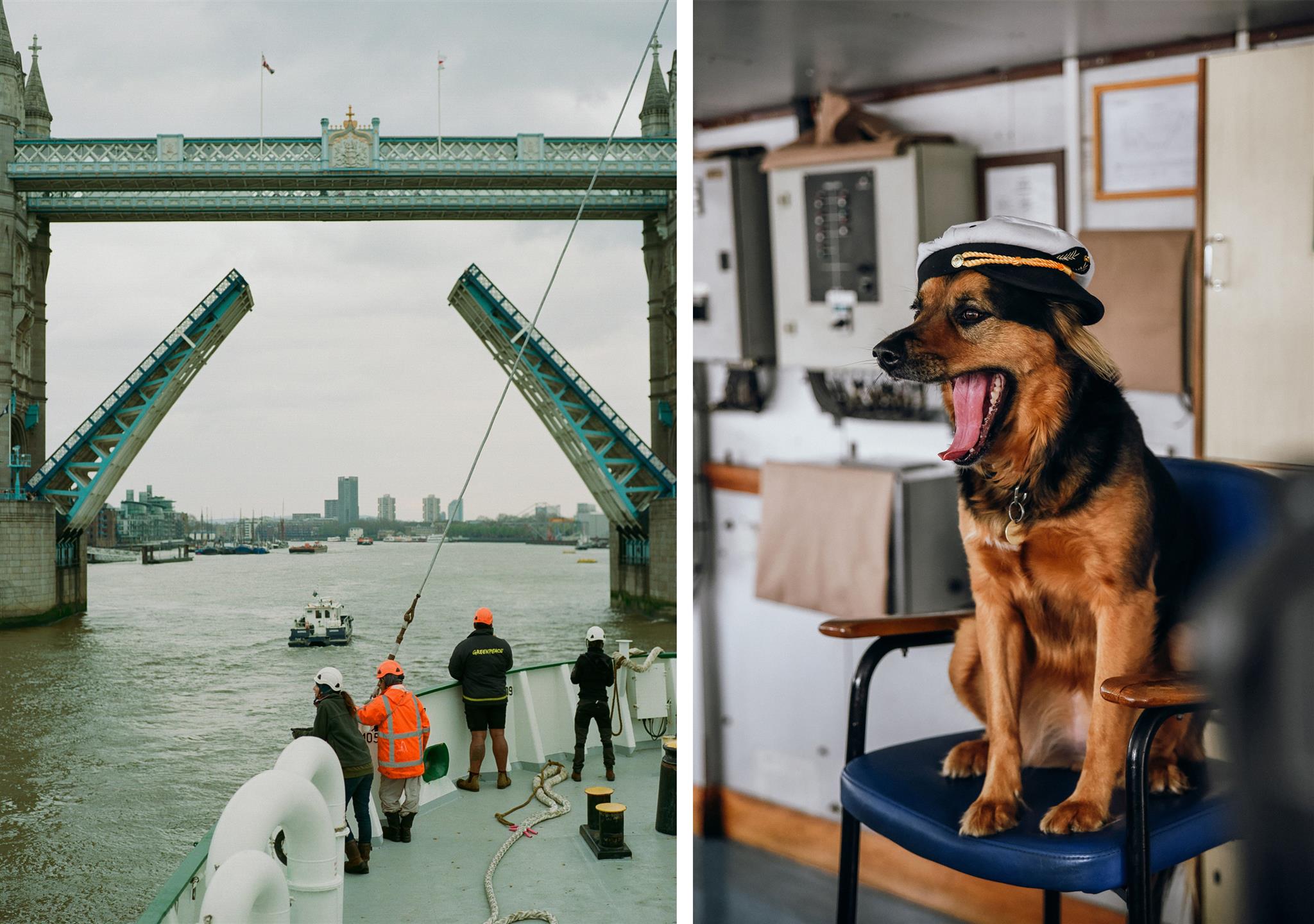 Image for People can’t stop looking at these Instagram photos of a Greenpeace ship