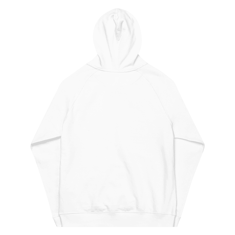 Picture of Unisex Eco Raglan Hoodie