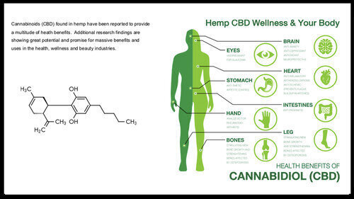 lindsay giguiere, health benefits of CBD cannabidiol botanical hemp