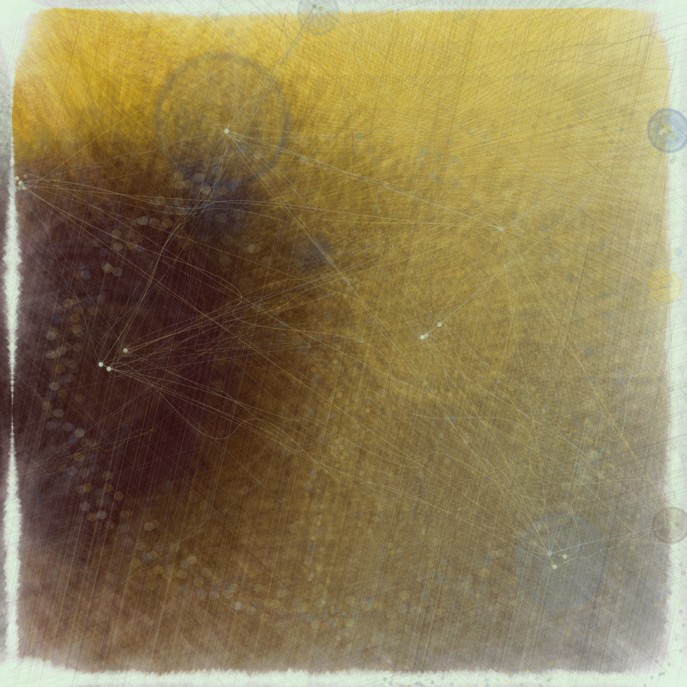 Reticulum