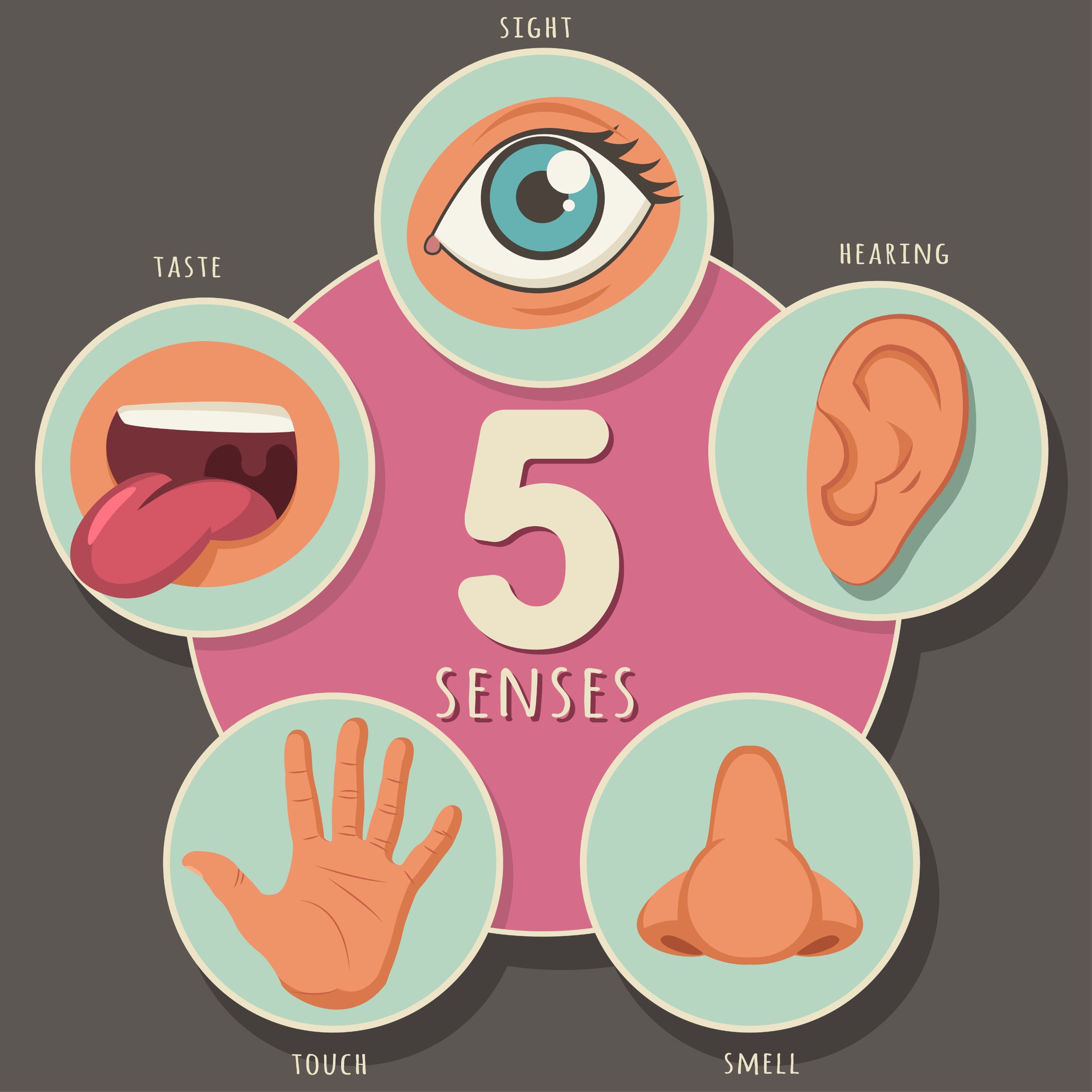 Five Senses Of A Human