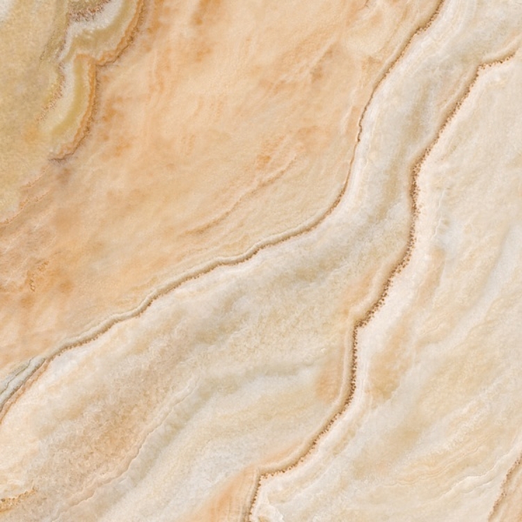 Shutterstock 2244220659