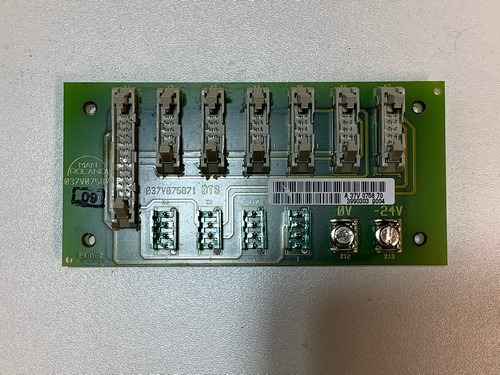 A37V075870 - man_roland