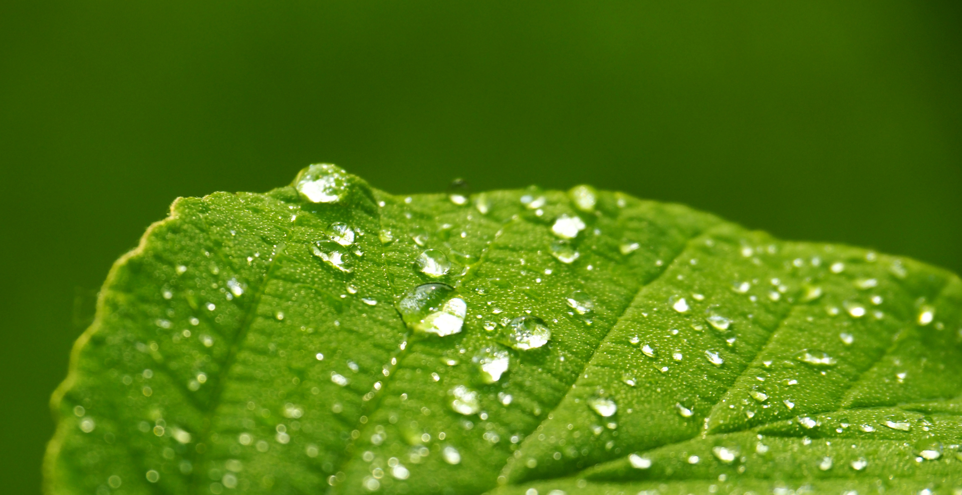 Экологическое право