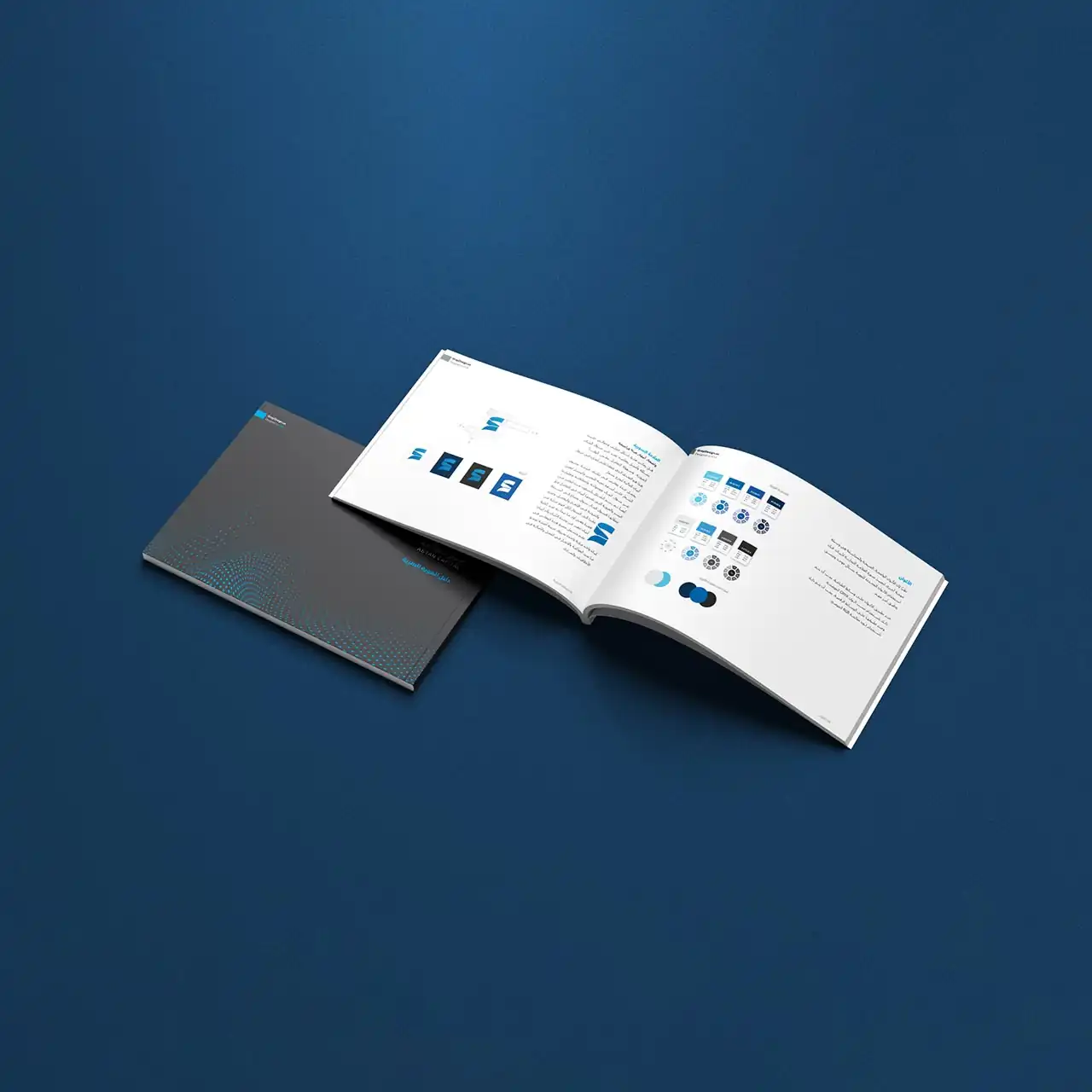 Project image 8