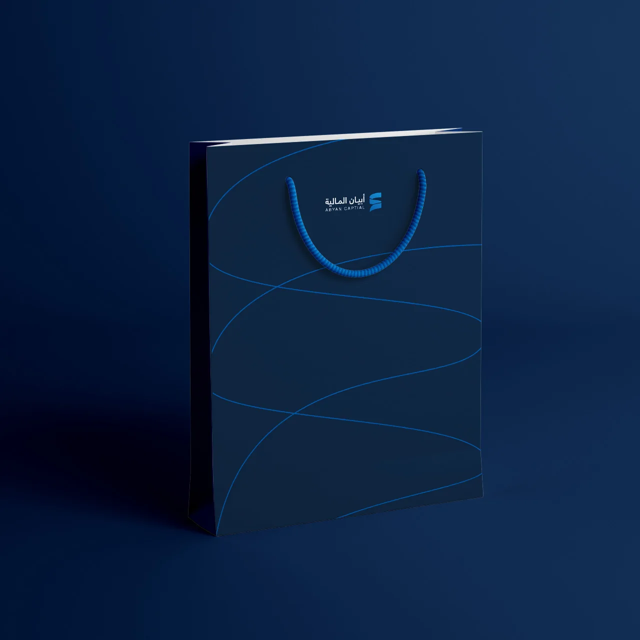 Project image 9