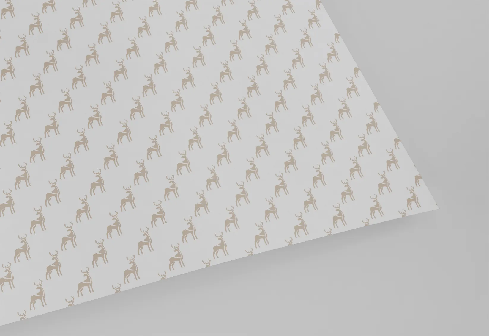 Project image 5