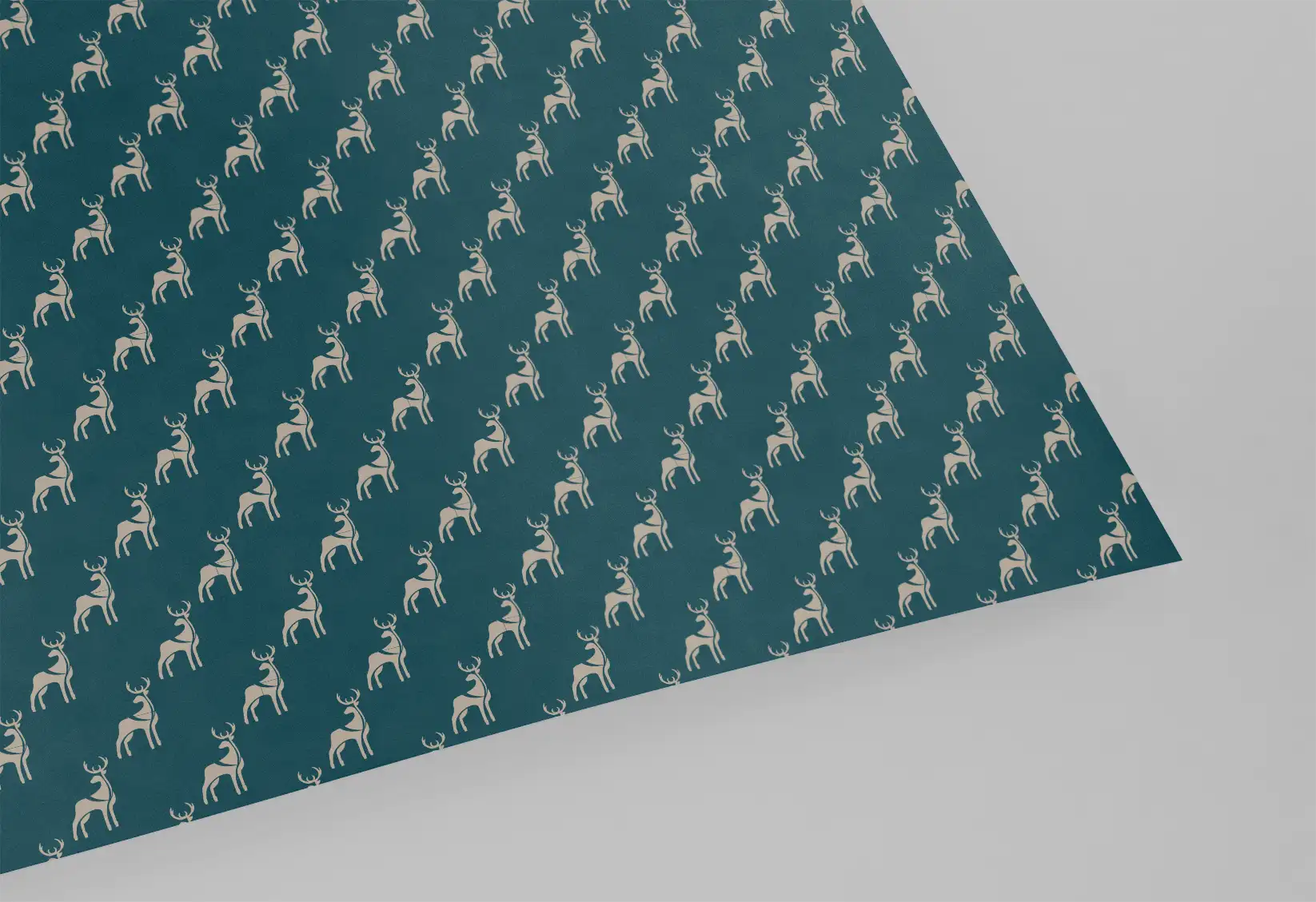 Project image 6