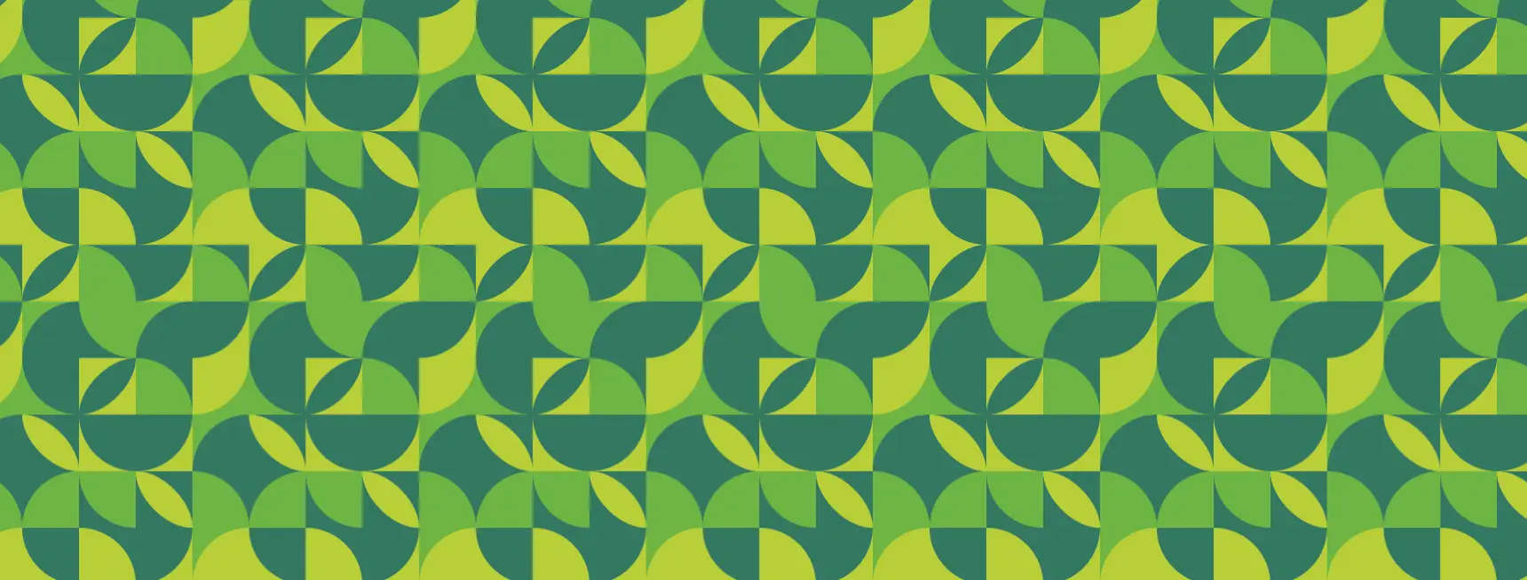 Project image 2